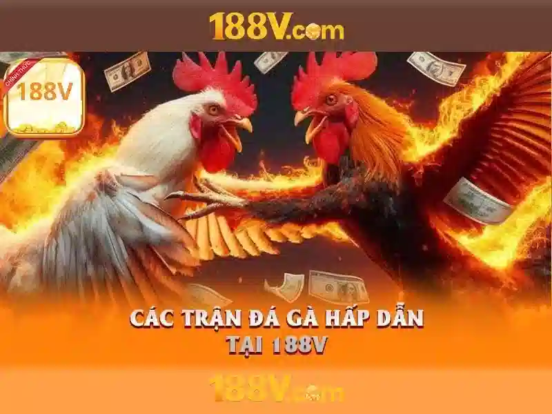 Nguồn gốc và tầm nhìn của 188v
