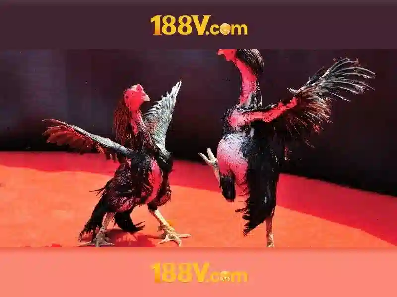 Nguồn gốc và ý nghĩa của 188v