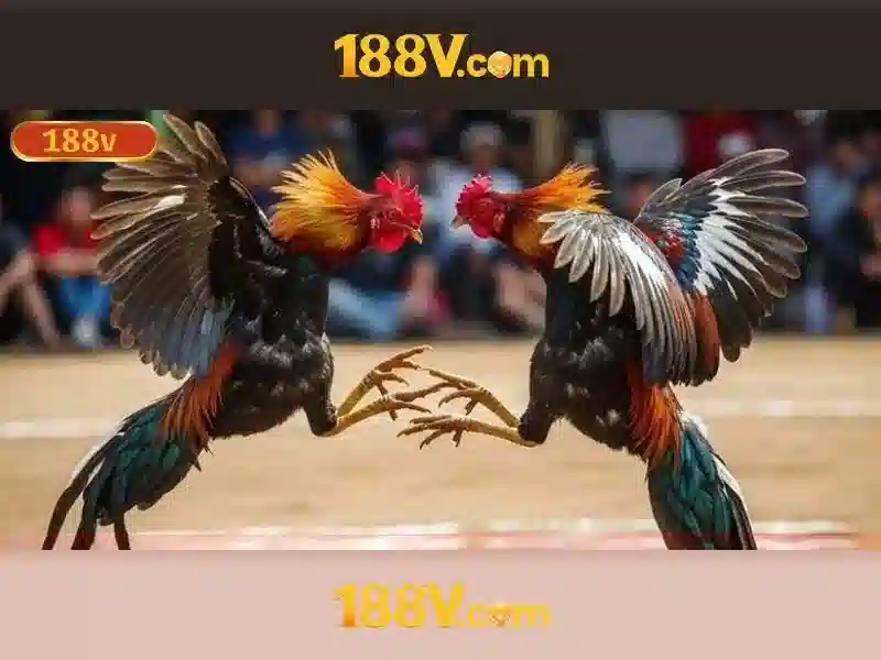 Nguoi dung dang trai nghiem ca cuoc the thao tren app 188v voi toc do cao