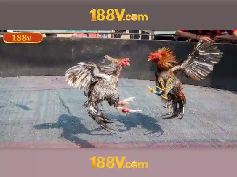 Ví dụ thực tiễn