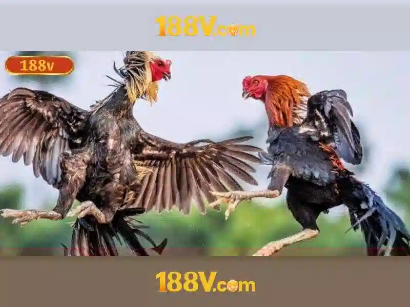 Mẹo chơi bắn cá 3 cây dễ ăn tiền nhà cái