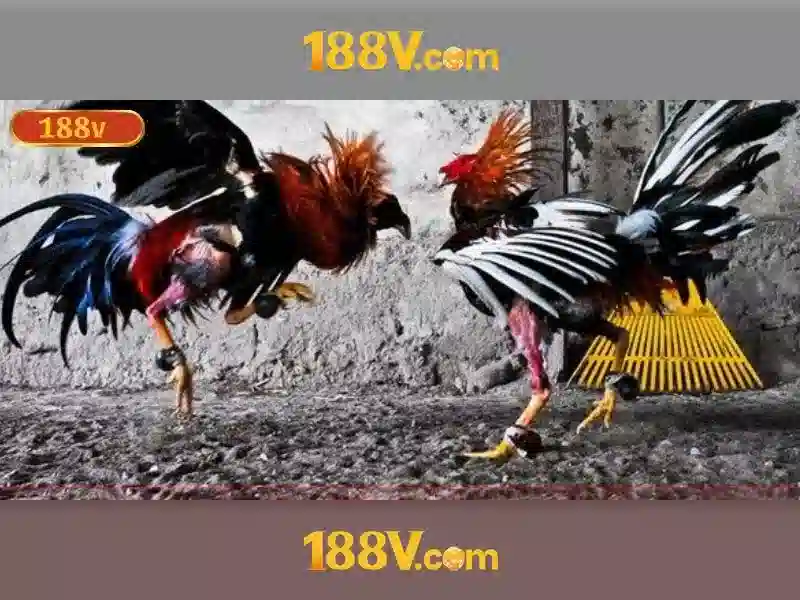 Nguồn gốc và ý nghĩa Nguồn gốc và ý nghĩa