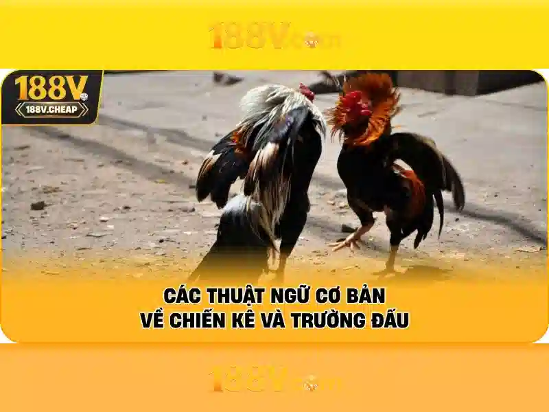 An toàn và đo lường 188V An toàn và đo lường 188V