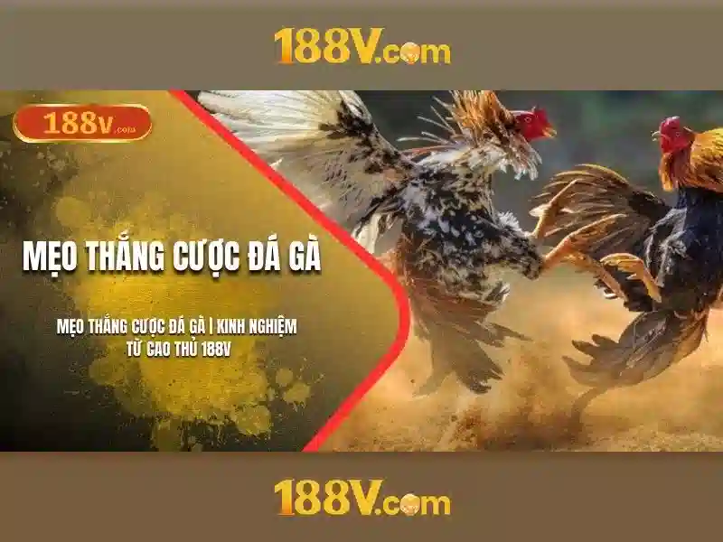 Mẹo chơi bắn cá 3 cây dễ ăn tiền nhà cái