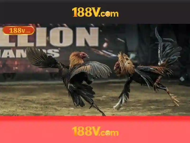 Khám phá 188v
