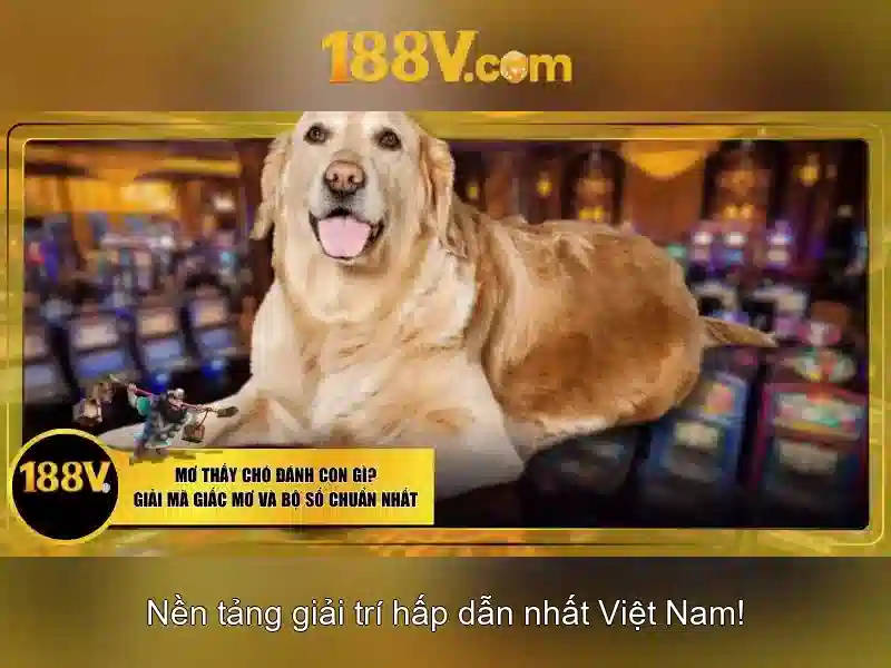 Chien_luoc_khuyen_ma_roi 