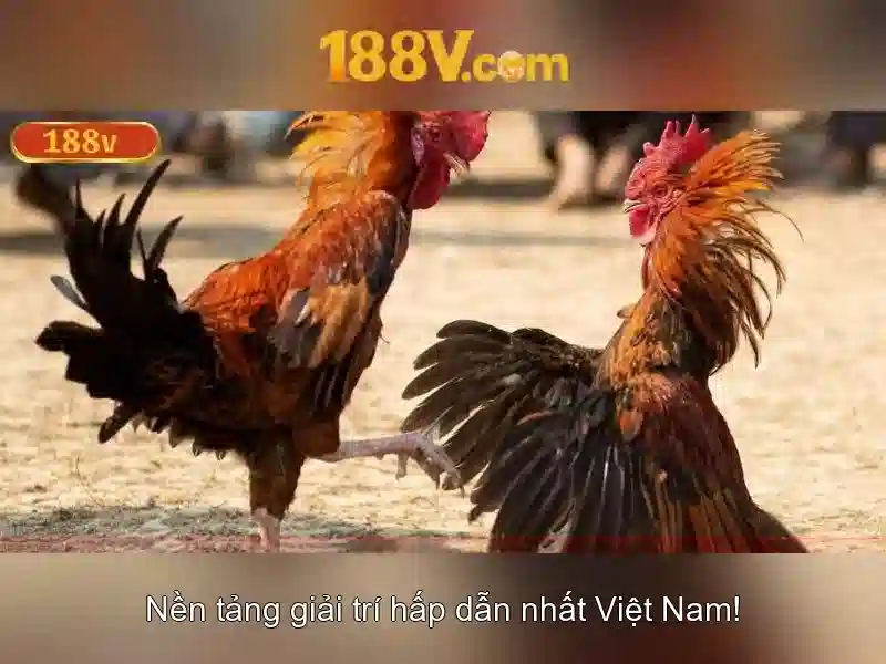 Khái niệm 188v và những ứng dụng tiềm năng