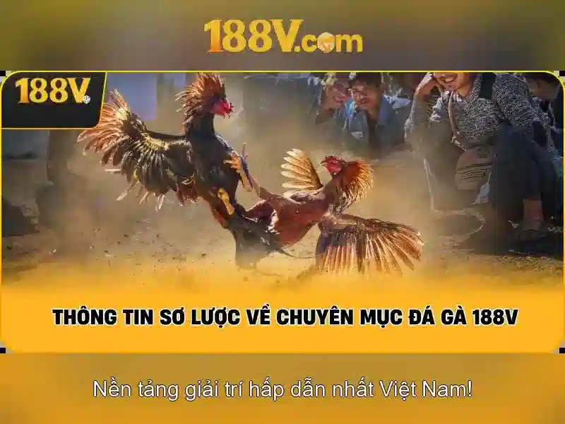 Khám phá ý nghĩa của 188v