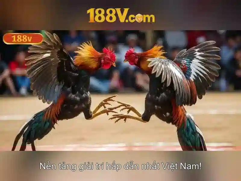 Mẹo chơi bắn cá 3 cây dễ ăn tiền nhà cái