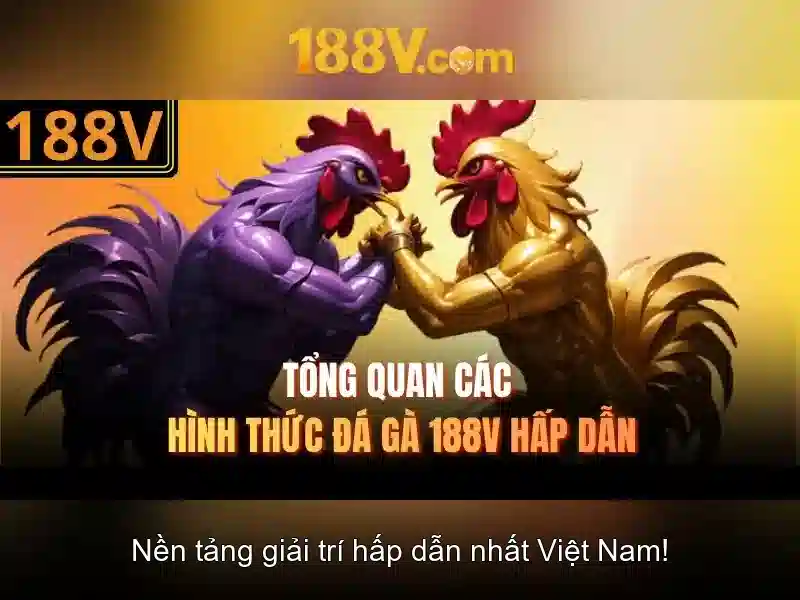 Khám phá 188v: một khái niệm độc đáo trong thế giới số