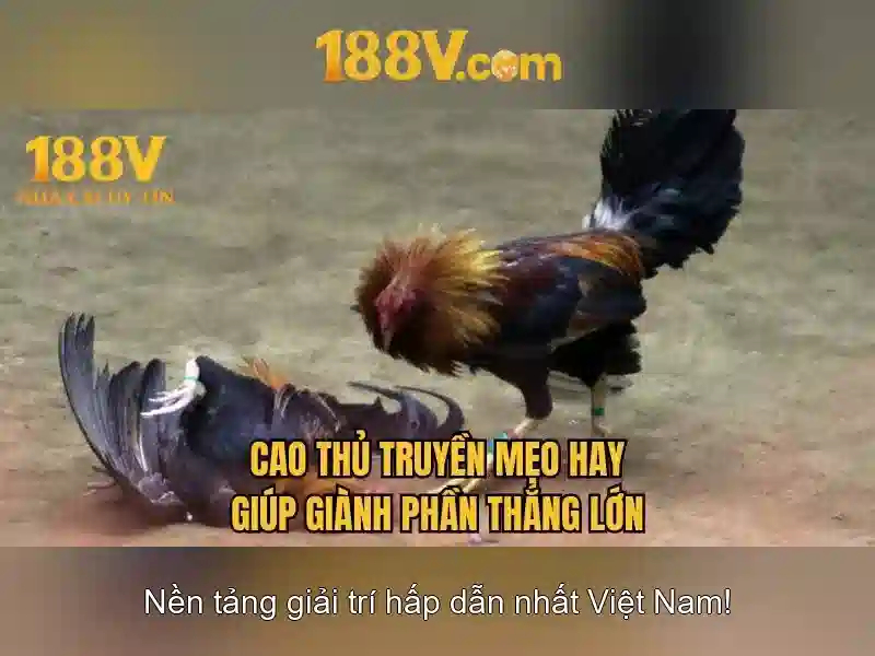Mẹo chơi bắn cá 3 cây dễ ăn tiền nhà cái