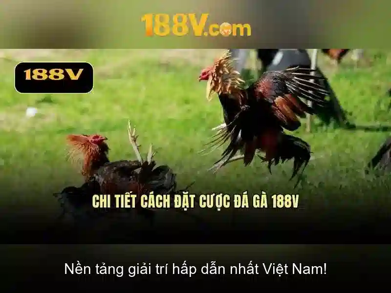 Mẹo chơi bắn cá 3 cây dễ ăn tiền nhà cái
