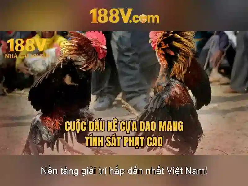 Khởi đầu 188v