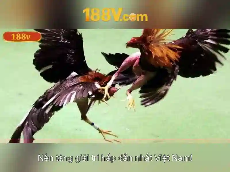 Ý tưởng đằng sau 188v