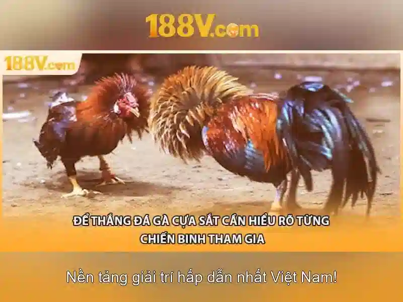188V: Khái niệm và ứng dụng của điện áp 188V trong công nghệ hiện đại